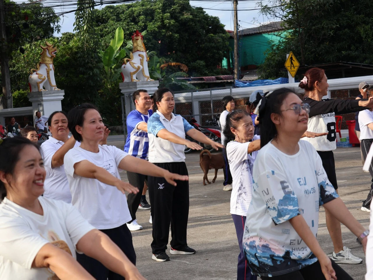 catalogs_file_781_17_38_631921.webp