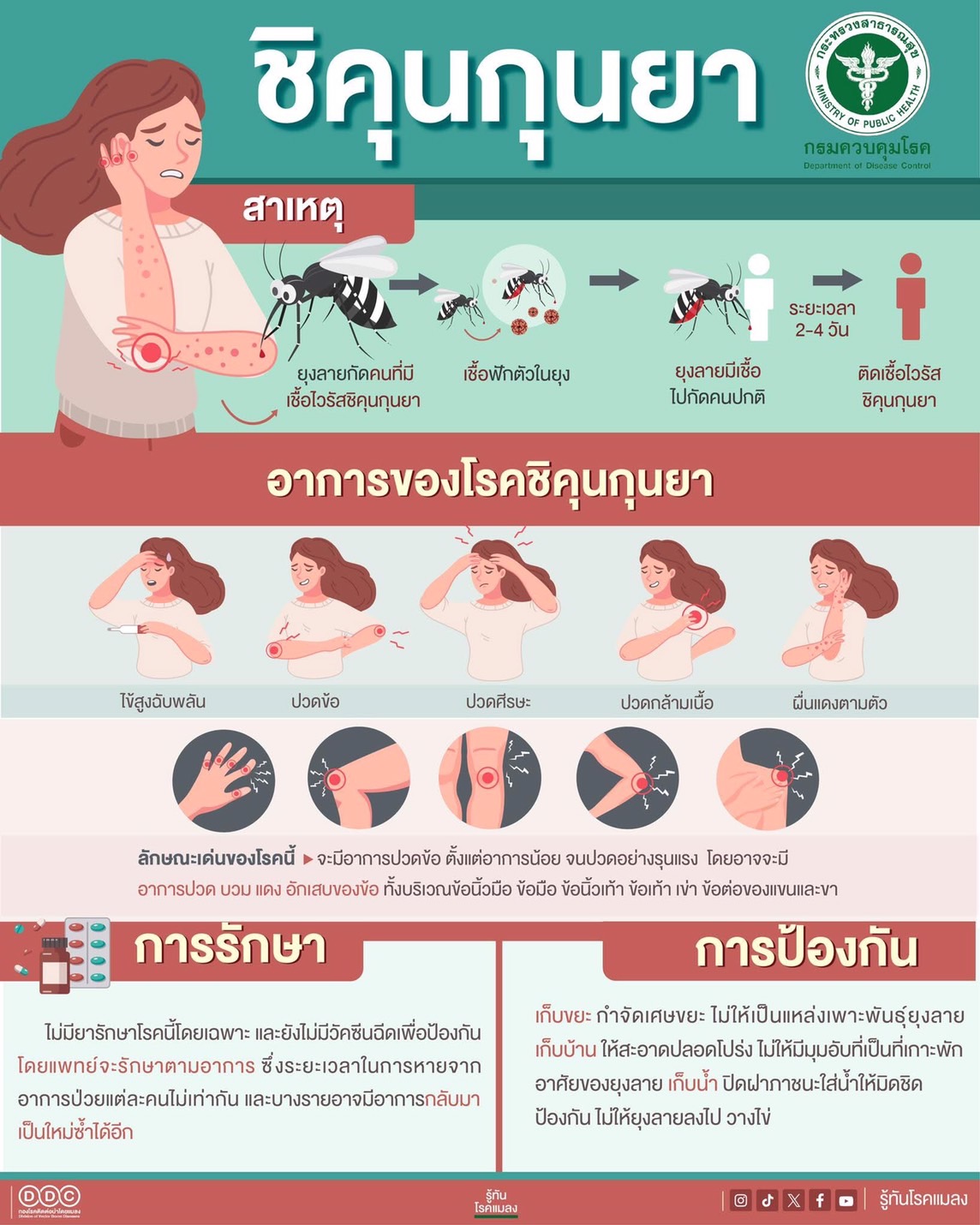 slide_file_31.webp